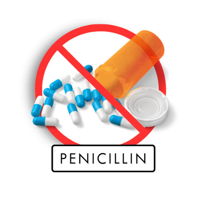 Penicillin Medicine Allergy Card