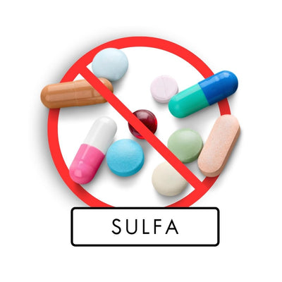 Sulfa Allergy Card