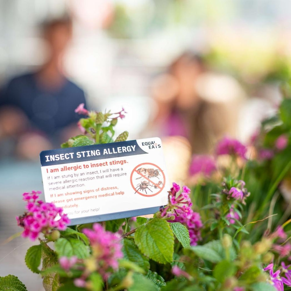 Insect Sting Allergy Card