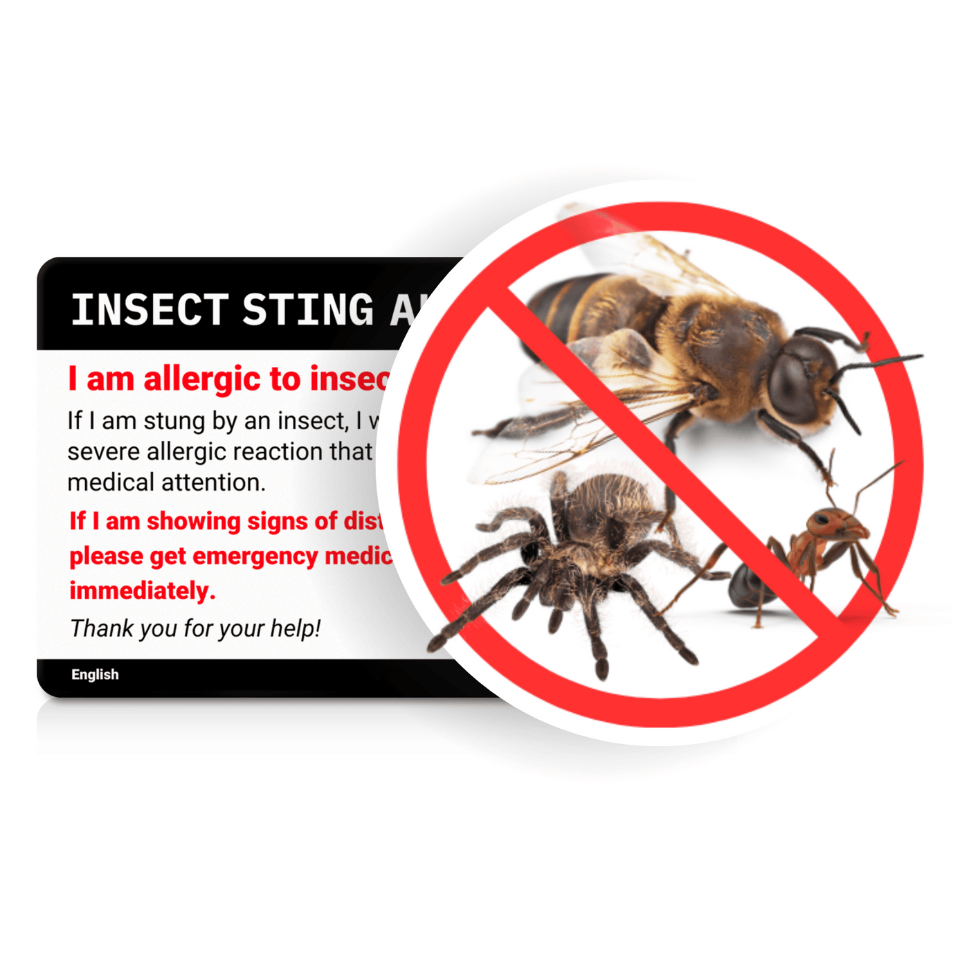 Insect Bite Allergy Card by Equal Eats