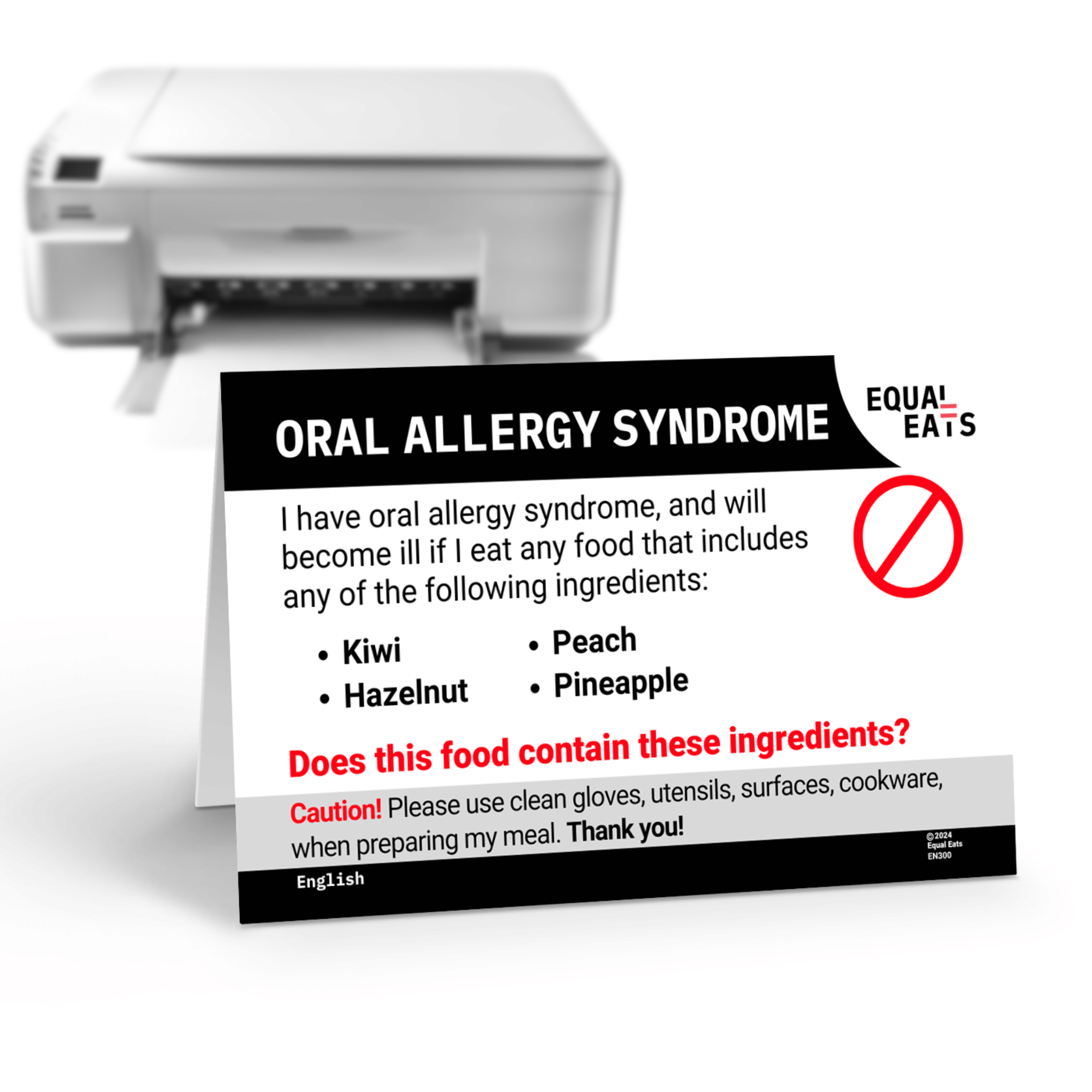 Allergy Notes Printable Food Allergy Card | 50 Languages | 500 Allergens – Equal Eats