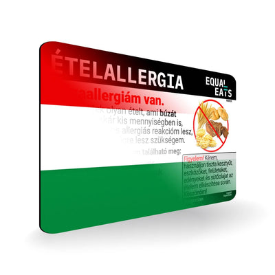 Wheat Allergy in Hungarian. Wheat Allergy Card for Hungary