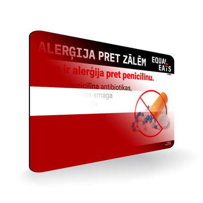 Penicillin Allergy in Latvian. Penicillin medical ID Card for Latvia