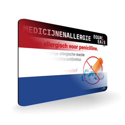Penicillin Allergy in Dutch. Penicillin medical ID Card for Netherlands
